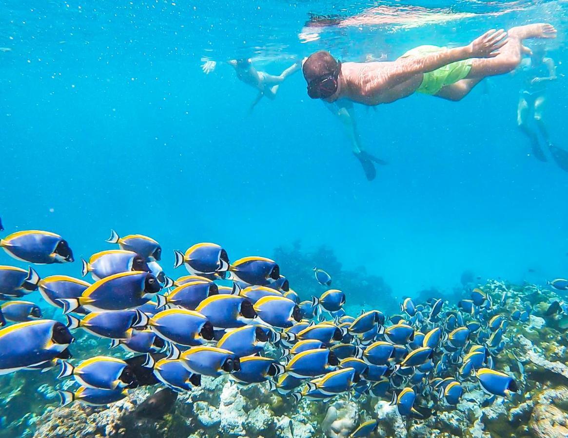 Old Town Inn Maldives Gaafaru Экстерьер фото